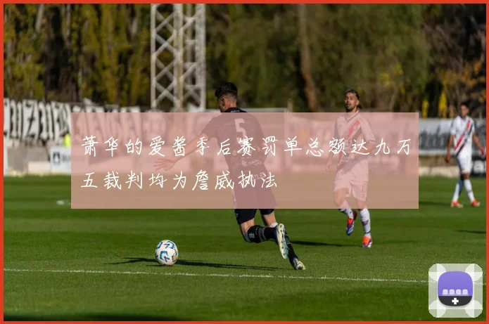 萧华的爱酱季后赛罚单总额达九万五裁判均为詹威执法
