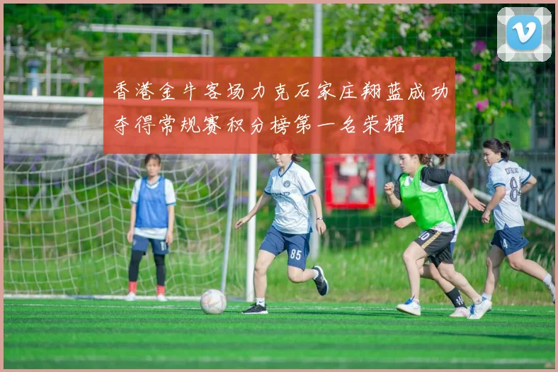 香港金牛客场力克石家庄翔蓝成功夺得常规赛积分榜第一名荣耀